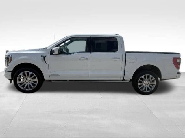 2023 Ford F-150 Limited