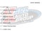 2022 Chevrolet Silverado 1500 4WD Crew Cab Short Bed RST
