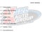 2025 Chevrolet Silverado 1500 4WD Crew Cab Short Bed LTZ