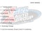 2026 GMC Canyon Elevation, 4WD