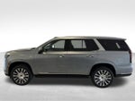 2025 Cadillac Escalade Premium Luxury Platinum