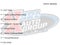 2021 Chevrolet Silverado 1500 4WD Crew Cab Short Bed RST